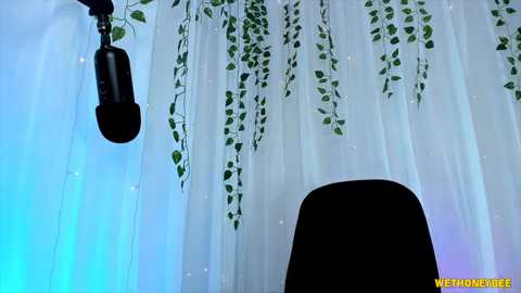 Media: wethoneybee Chaturbate 2024-10-27 10:03:00