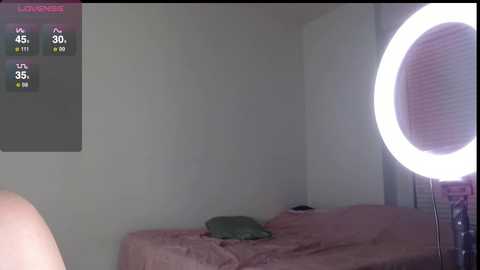 bellamonroee @ chaturbate on 20241028