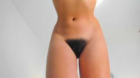 Media: bush_woman Chaturbate 2024-10-28 22:31:00