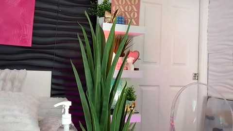 Media: kateskurves Chaturbate 2024-10-28 14:21:00