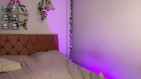 Media: one_more_cum Chaturbate 2024-10-28 19:37:00