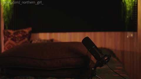 Media: _northern_girl_ Chaturbate 2024-10-29 16:02:00