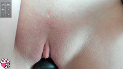 Media: azureluna Chaturbate 2024-10-29 10:51:00