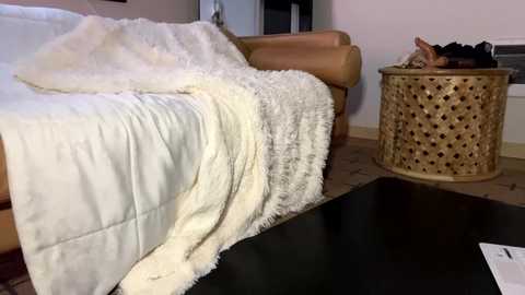 charleyquin @ chaturbate on 20241029