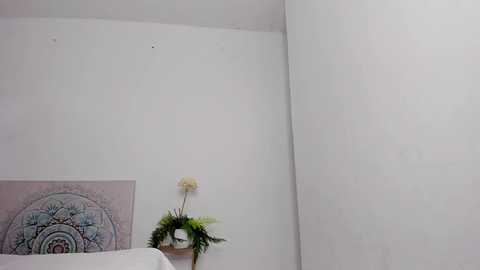 effie_castro0 @ chaturbate on 20241029