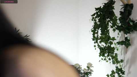 Media: hinatabroks Chaturbate 2024-10-29 03:54:00