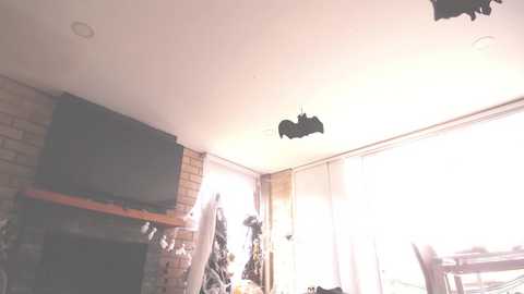 Media: kendalltyler Chaturbate 2024-10-29 16:37:00