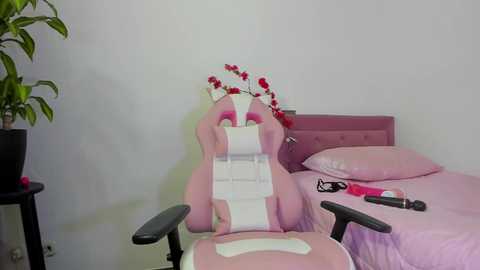 annubis_lia @ chaturbate on 20241030