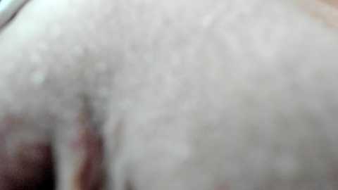 Media: courtney_luv Chaturbate 2024-10-30 15:08:00