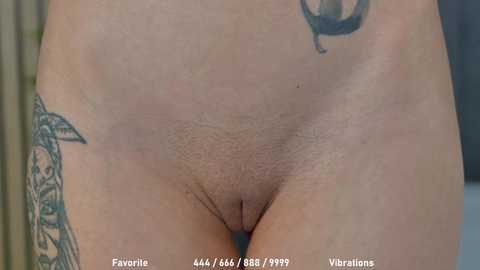 Media: celestara Chaturbate 2024-10-31 13:05:00