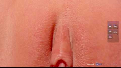 Media: _witch__ Chaturbate 2024-11-01 12:49:00