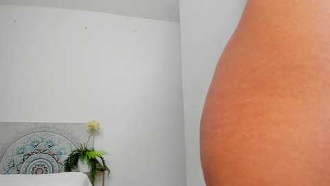 effie_castro0 @ chaturbate on 20241101