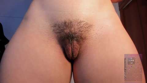Media: yahaira_26 Chaturbate 2024-11-01 07:15:00