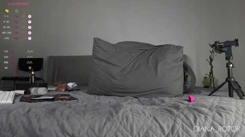 Media: diana_rotor Chaturbate 2024-11-02 13:16:00