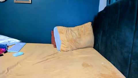 Media: ella_la Chaturbate 2024-11-03 07:32:00