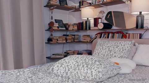Media: riskyproject Chaturbate 2024-11-03 11:09:00