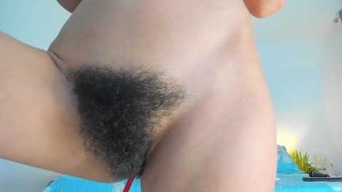 Media: bush_woman Chaturbate 2024-11-04 21:04:00