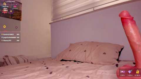 Media: itsbellax Chaturbate 2024-11-04 15:23:00