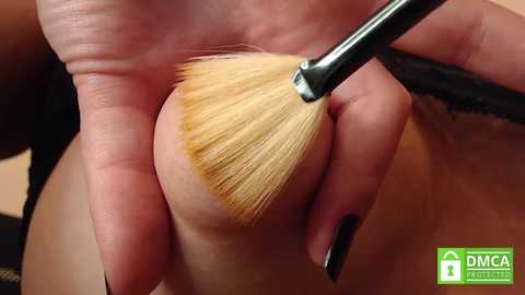 Media: mollywayne Chaturbate 2024-11-04 20:28:00