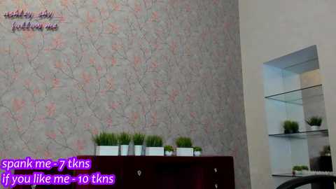 ashley_shy__ @ chaturbate on 20241105