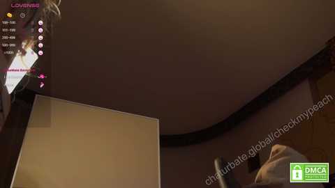 Media: checkmypeach Chaturbate 2024-11-05 16:28:00