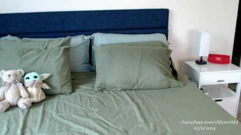 Media: chloewildd Chaturbate 2024-11-05 18:18:00