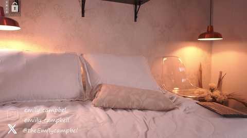 Media: emiilycampbell Chaturbate 2024-11-05 00:41:00