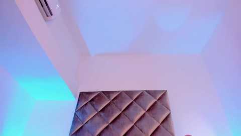 malaia_hills @ chaturbate on 20241105