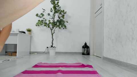 Media: dirtygirls99 Chaturbate 2024-11-06 11:39:00