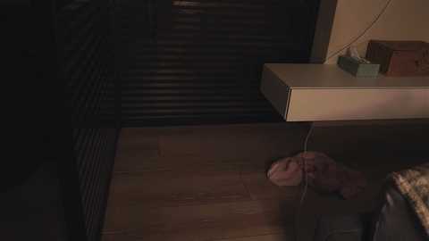 Media: misssweettie Chaturbate 2024-11-06 17:55:00