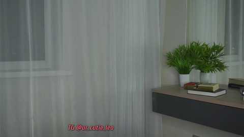sins_of_teams @ chaturbate on 20241106