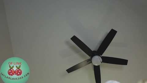 Media: taylor_love_303 Chaturbate 2024-11-06 12:37:00