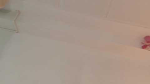 Media: breeding_material Chaturbate 2024-11-07 10:08:00