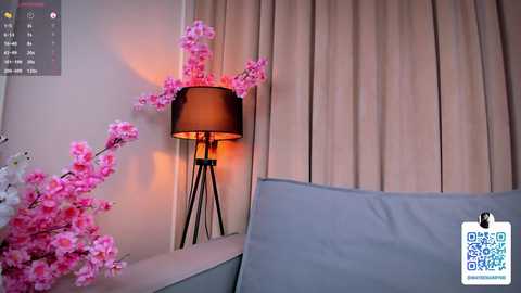 Media: maybe_marry_me Chaturbate 2024-11-07 14:01:00