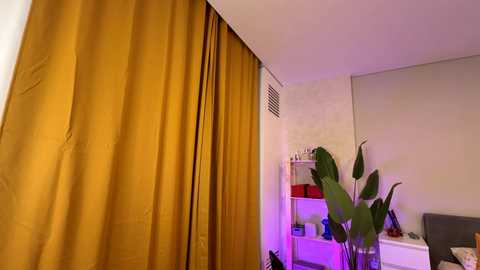 Media: vixenp Chaturbate 2024-11-08 00:00:00