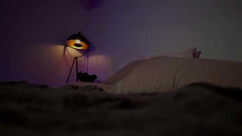 Media: jadeperez_ Chaturbate 2024-11-09 06:58:00
