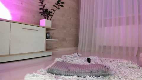 Media: meryfoxxx Chaturbate 2024-11-10 15:06:00