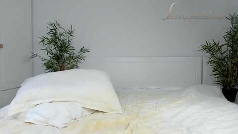 Media: sexycreolyta4u Chaturbate 2024-11-10 15:21:00