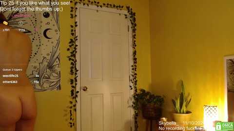 Media: skybella_ Chaturbate 2024-11-10 17:07:00