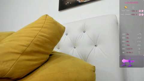 Media: _timeless_paradox Chaturbate 2024-11-12 07:15:00