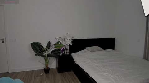 Media: nicole_youthfull Chaturbate 2024-11-12 03:12:00