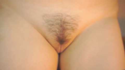 Media: sheenajomason Chaturbate 2024-11-12 12:47:00