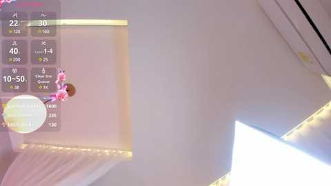 Media: angelrossario Chaturbate 2024-11-13 09:16:00