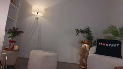 Media: ericamiracle15 Chaturbate 2024-11-13 11:14:00