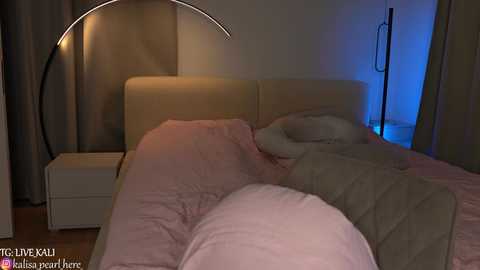 Media: kalisa_pearl Chaturbate 2024-11-13 21:43:00