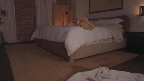 Media: _june Chaturbate 2024-11-14 00:47:00