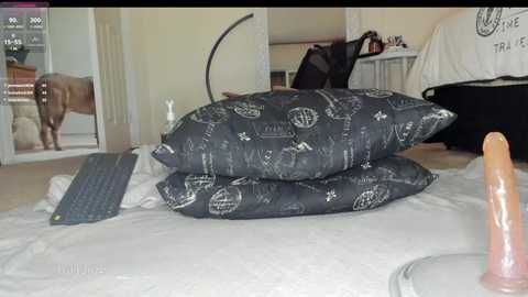 Media: brooklyn_shai Chaturbate 2024-11-14 04:11:00