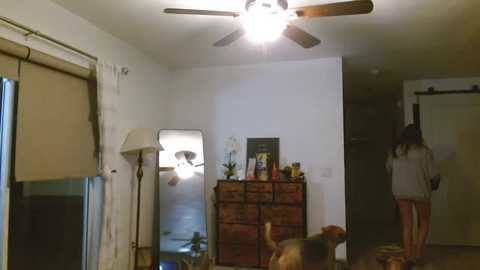 Media: dazeydo Chaturbate 2024-11-14 00:29:00