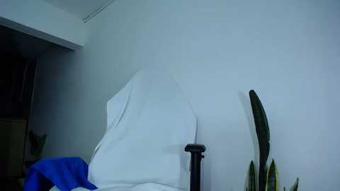 diamond_black00 @ chaturbate on 20241114