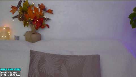 Media: sweety_rinushka_ Chaturbate 2024-11-14 20:25:00